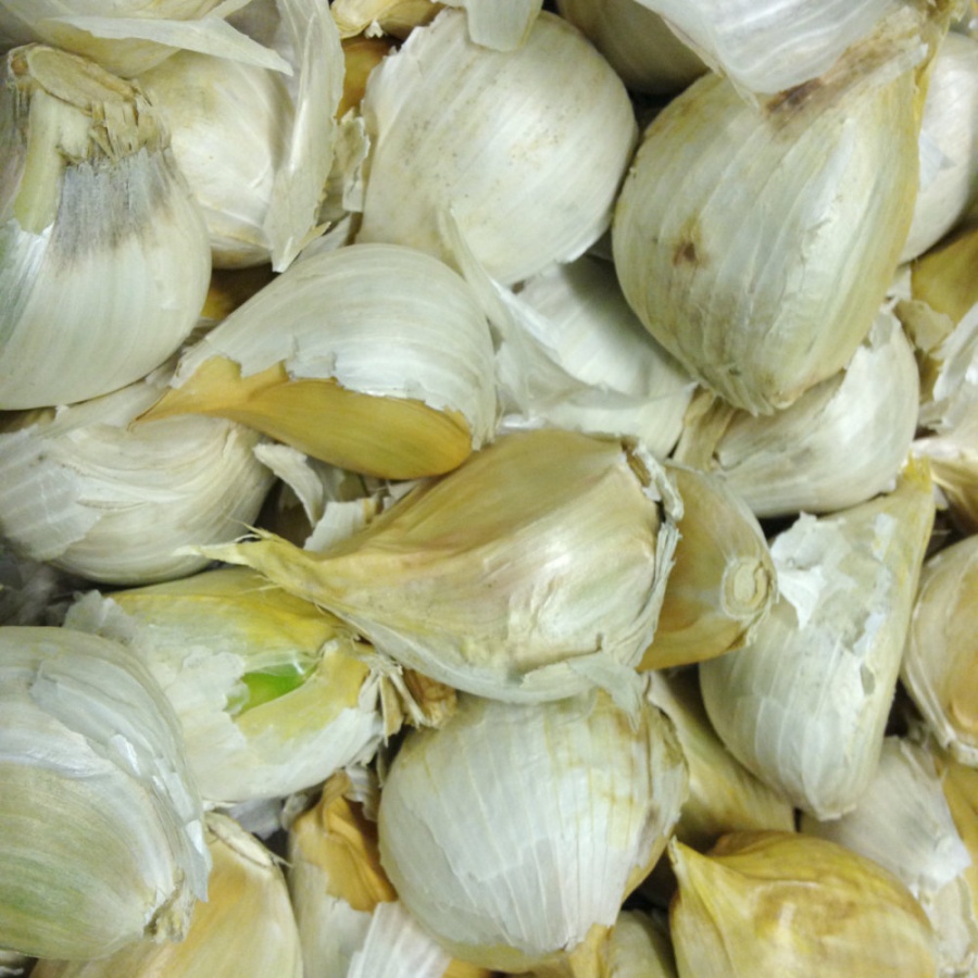 Elephant Garlic  - 500g Bulk Pack